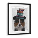 Border Collie, Tricolor Y Libros. - Fab Funky | Cuadro decorativo de Canvas Lab