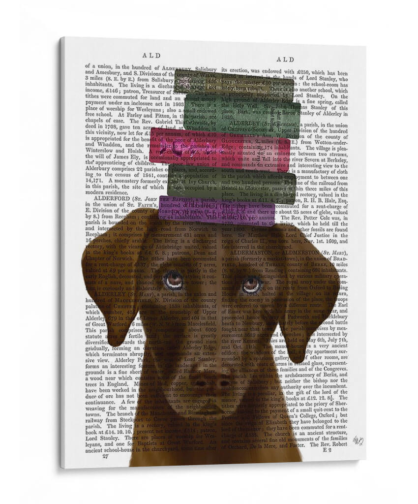 Brown Labrador Y Libros - Fab Funky | Cuadro decorativo de Canvas Lab