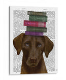Brown Labrador Y Libros - Fab Funky | Cuadro decorativo de Canvas Lab