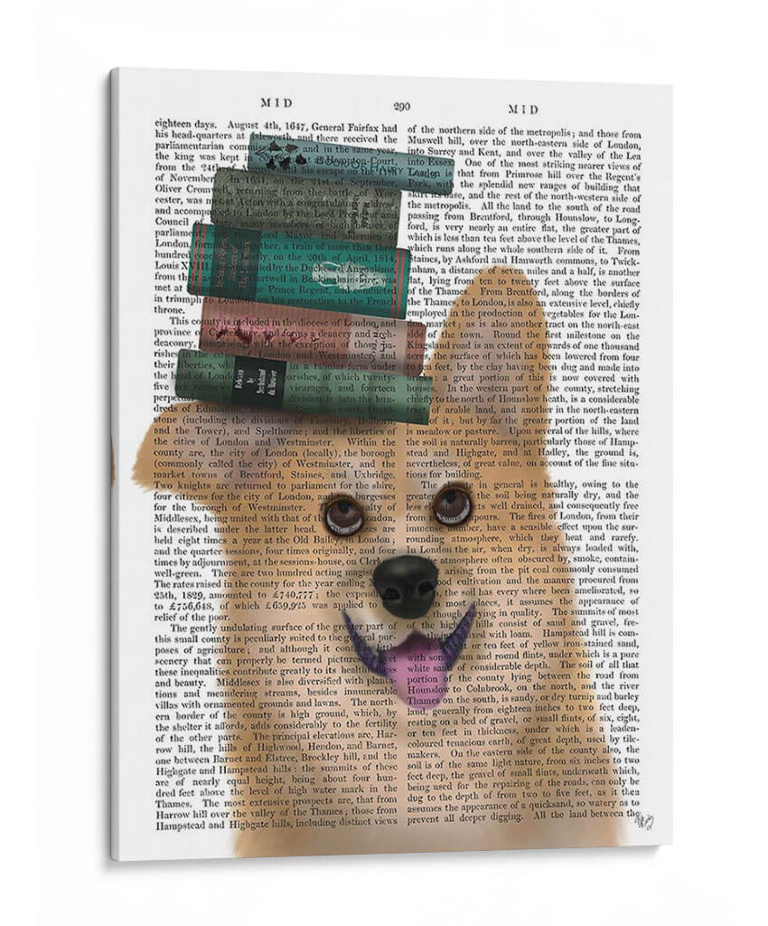 Corgi Y Libros - Fab Funky | Cuadro decorativo de Canvas Lab