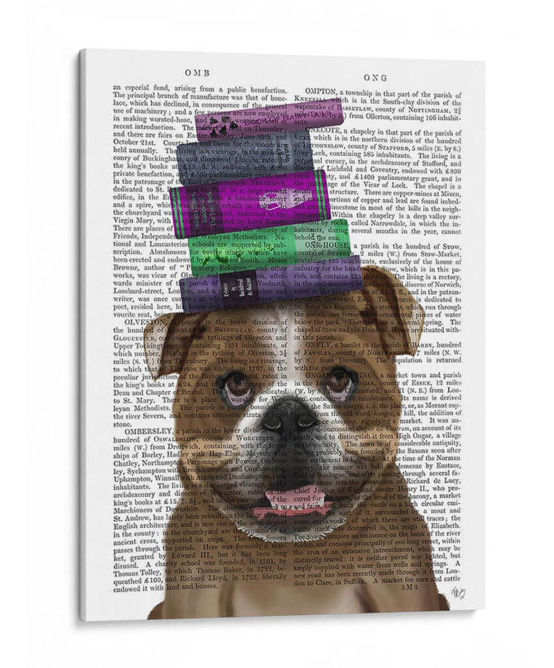 Bulldog Inglés Y Libros - Fab Funky | Cuadro decorativo de Canvas Lab