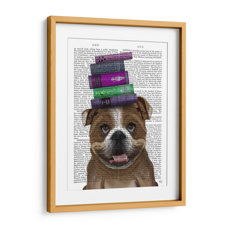 Bulldog Inglés Y Libros - Fab Funky | Cuadro decorativo de Canvas Lab