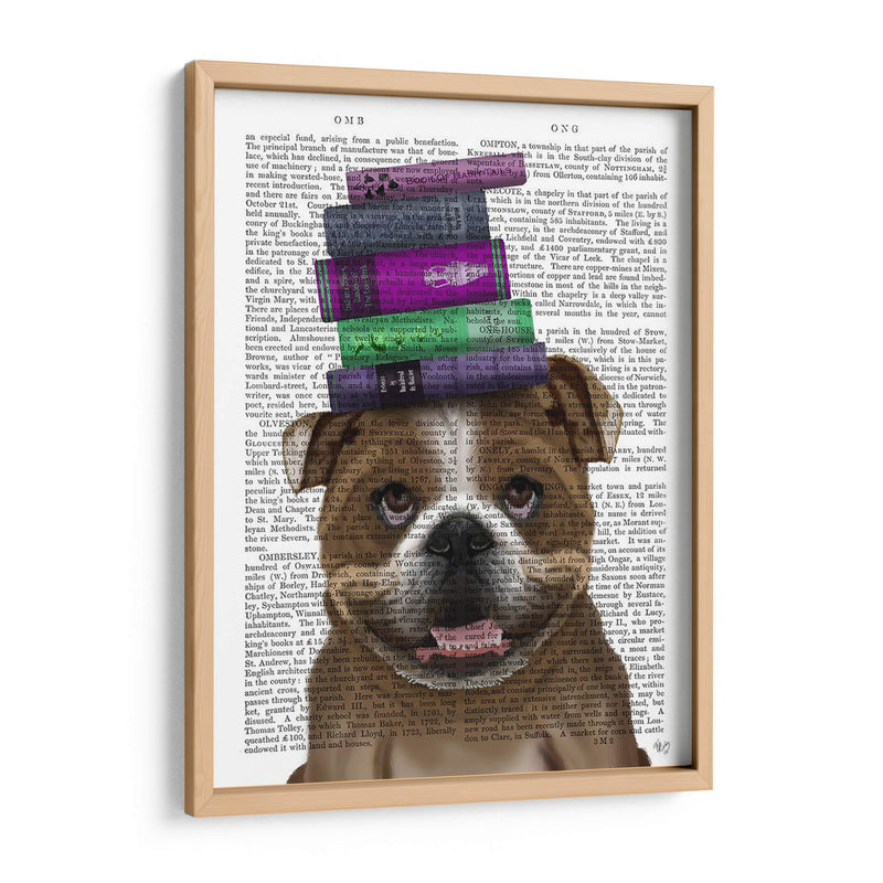 Bulldog Inglés Y Libros - Fab Funky | Cuadro decorativo de Canvas Lab