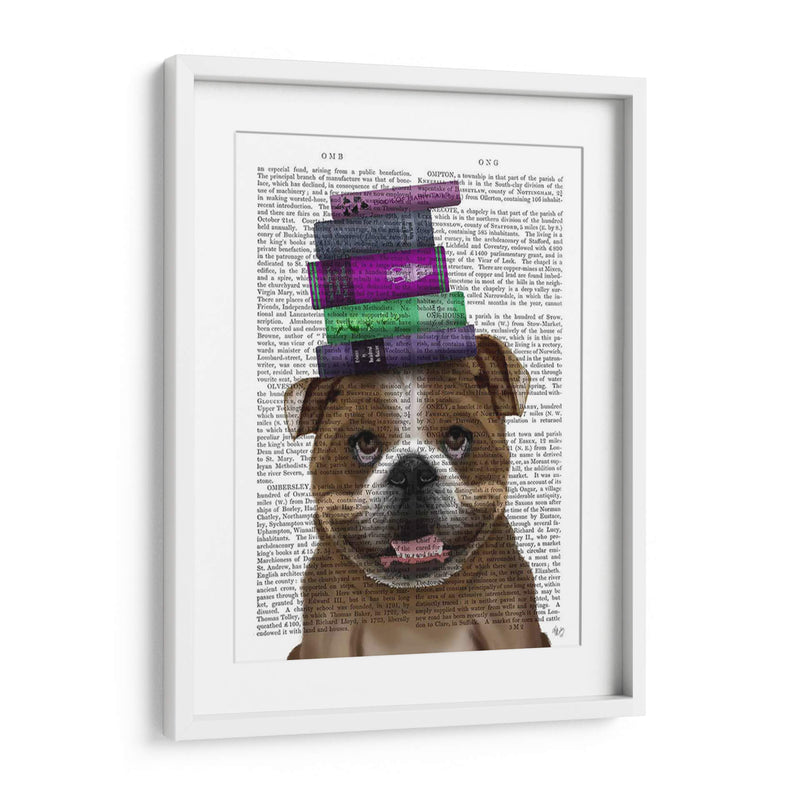 Bulldog Inglés Y Libros - Fab Funky | Cuadro decorativo de Canvas Lab