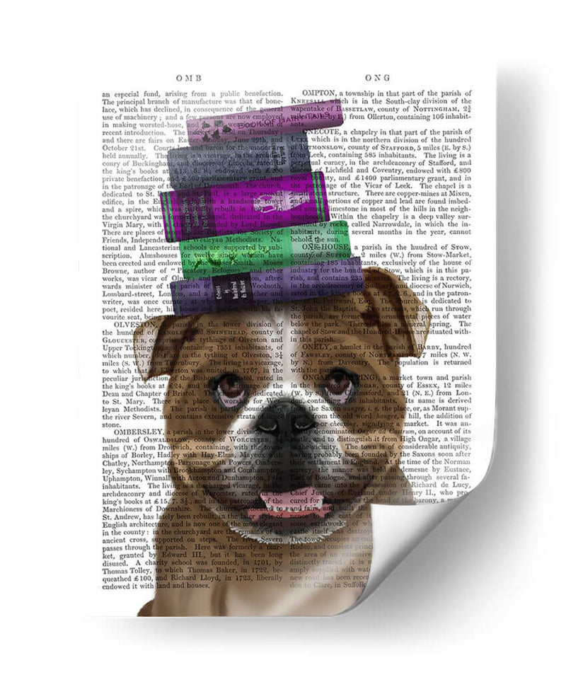 Bulldog Inglés Y Libros - Fab Funky | Cuadro decorativo de Canvas Lab