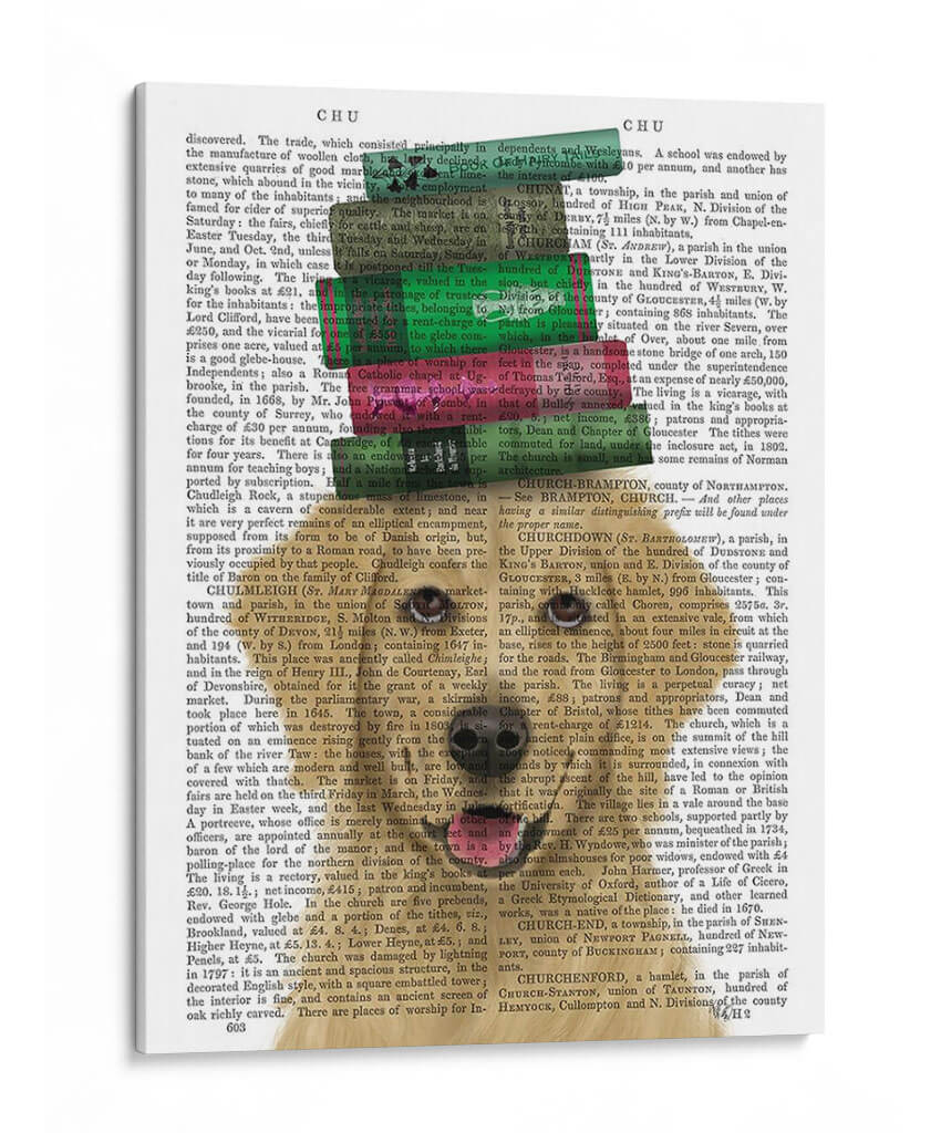 Golden Retriever Y Libros - Fab Funky | Cuadro decorativo de Canvas Lab