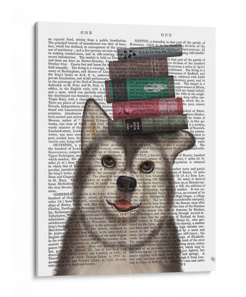 Husky Y Libros - Fab Funky | Cuadro decorativo de Canvas Lab