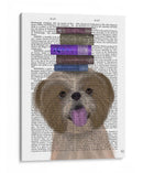 Shih Tsu Y Libros - Fab Funky | Cuadro decorativo de Canvas Lab