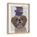 Shih Tsu Y Libros - Fab Funky | Cuadro decorativo de Canvas Lab