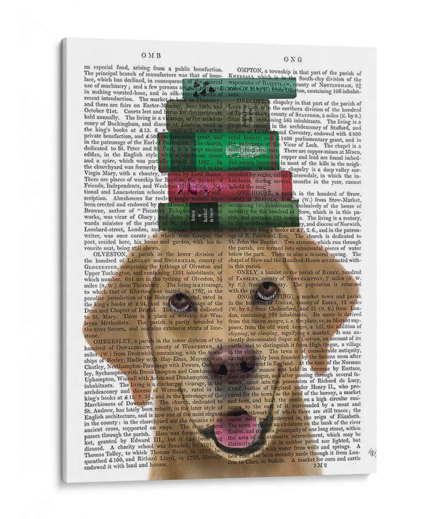 Labrador Amarillo Y Libros. - Fab Funky | Cuadro decorativo de Canvas Lab