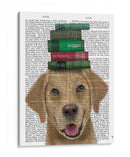 Labrador Amarillo Y Libros. - Fab Funky | Cuadro decorativo de Canvas Lab