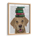 Labrador Amarillo Y Libros. - Fab Funky | Cuadro decorativo de Canvas Lab