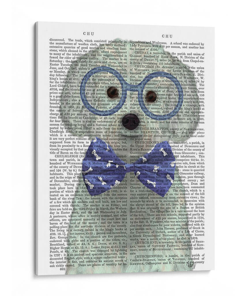 Bichon Frise Con Gafas Y Pajarita. - Fab Funky | Cuadro decorativo de Canvas Lab