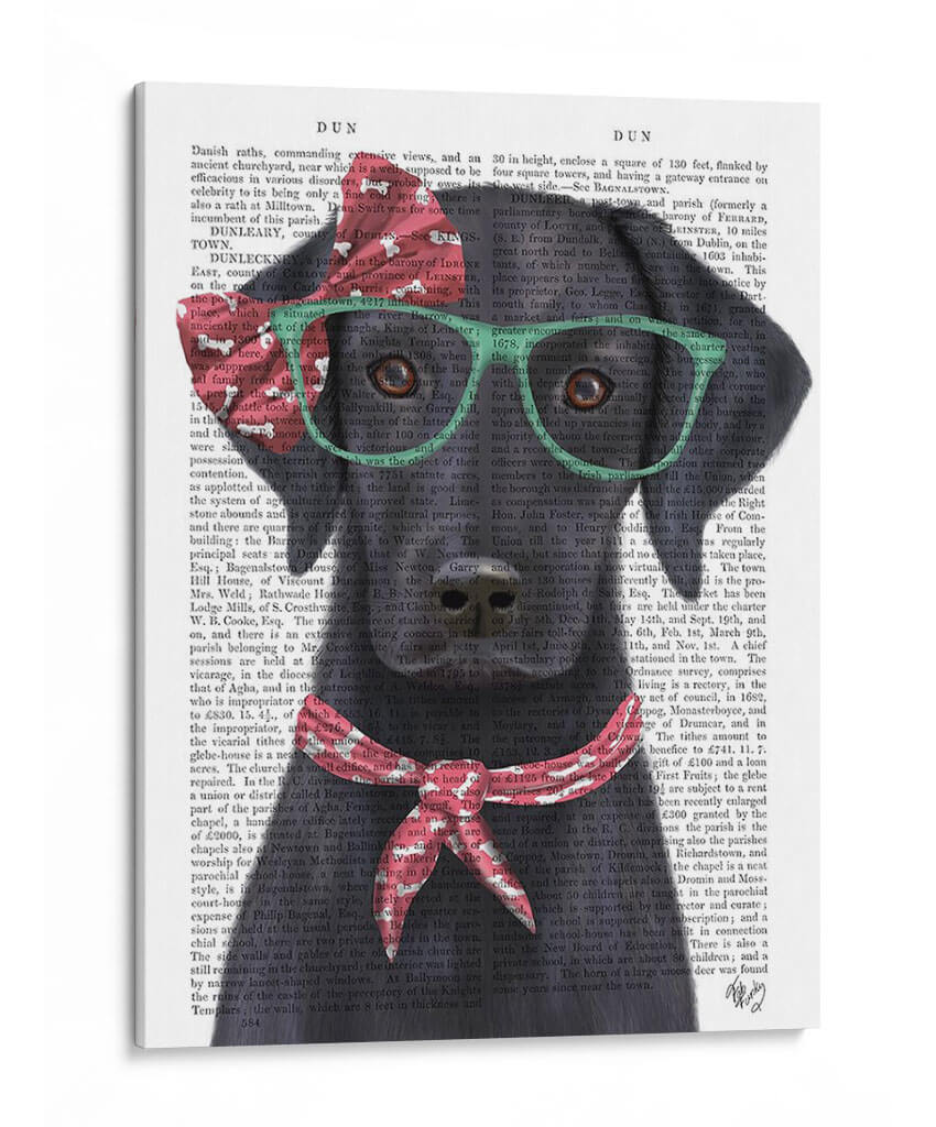 Labrador Negro Con Gafas Y Bufanda. - Fab Funky | Cuadro decorativo de Canvas Lab