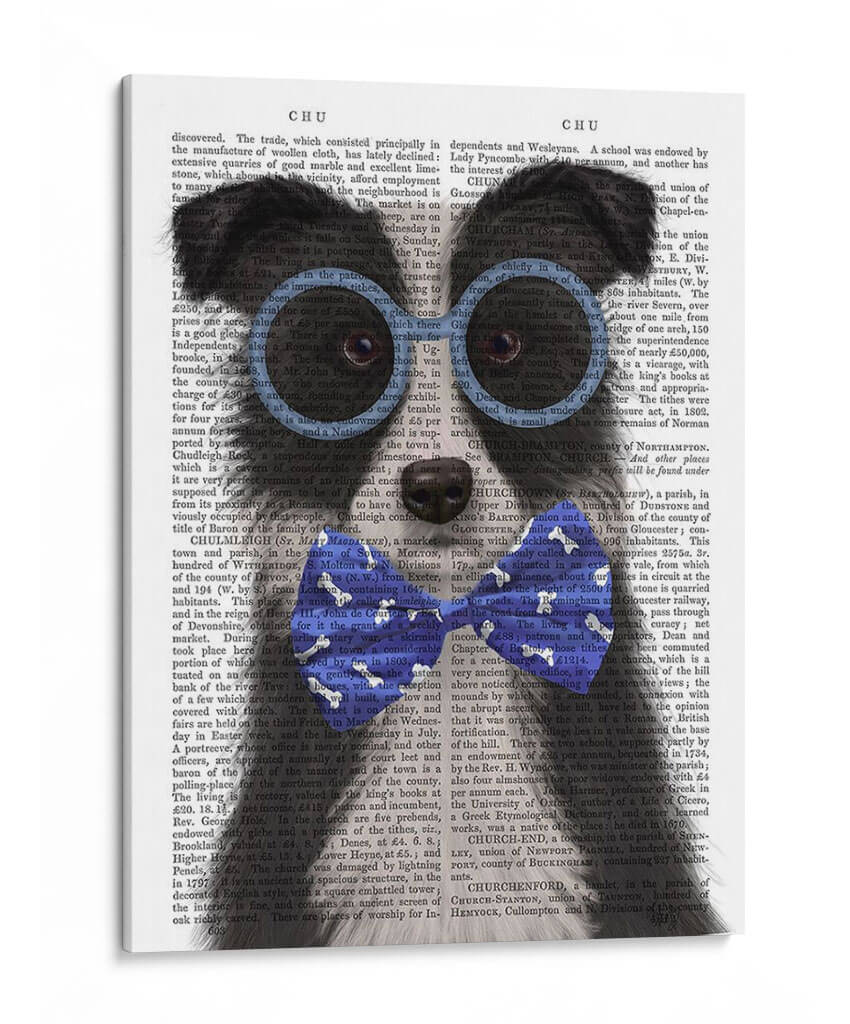 Border Collie, Blanco Y Negro, Con Gafas Y Pajarita. - Fab Funky | Cuadro decorativo de Canvas Lab