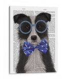 Border Collie, Blanco Y Negro, Con Gafas Y Pajarita. - Fab Funky | Cuadro decorativo de Canvas Lab