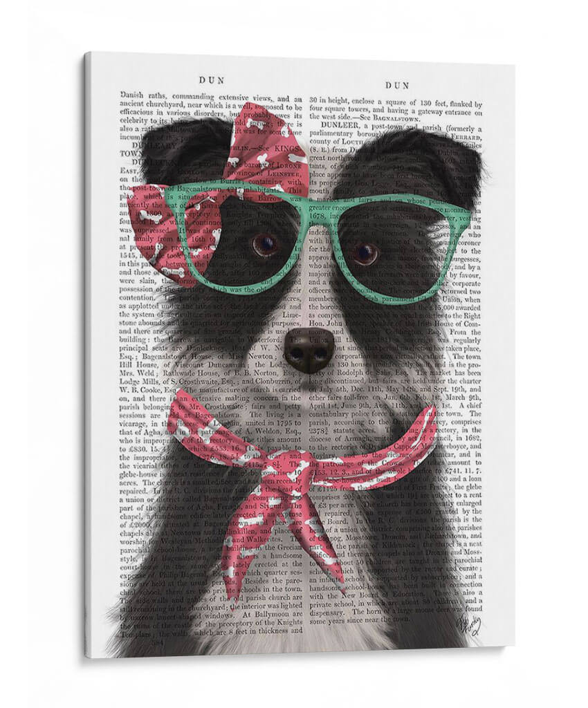 Border Collie, Blanco Y Negro, Con Gafas Y Bufanda. - Fab Funky | Cuadro decorativo de Canvas Lab