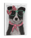 Border Collie, Blanco Y Negro, Con Gafas Y Bufanda. - Fab Funky | Cuadro decorativo de Canvas Lab