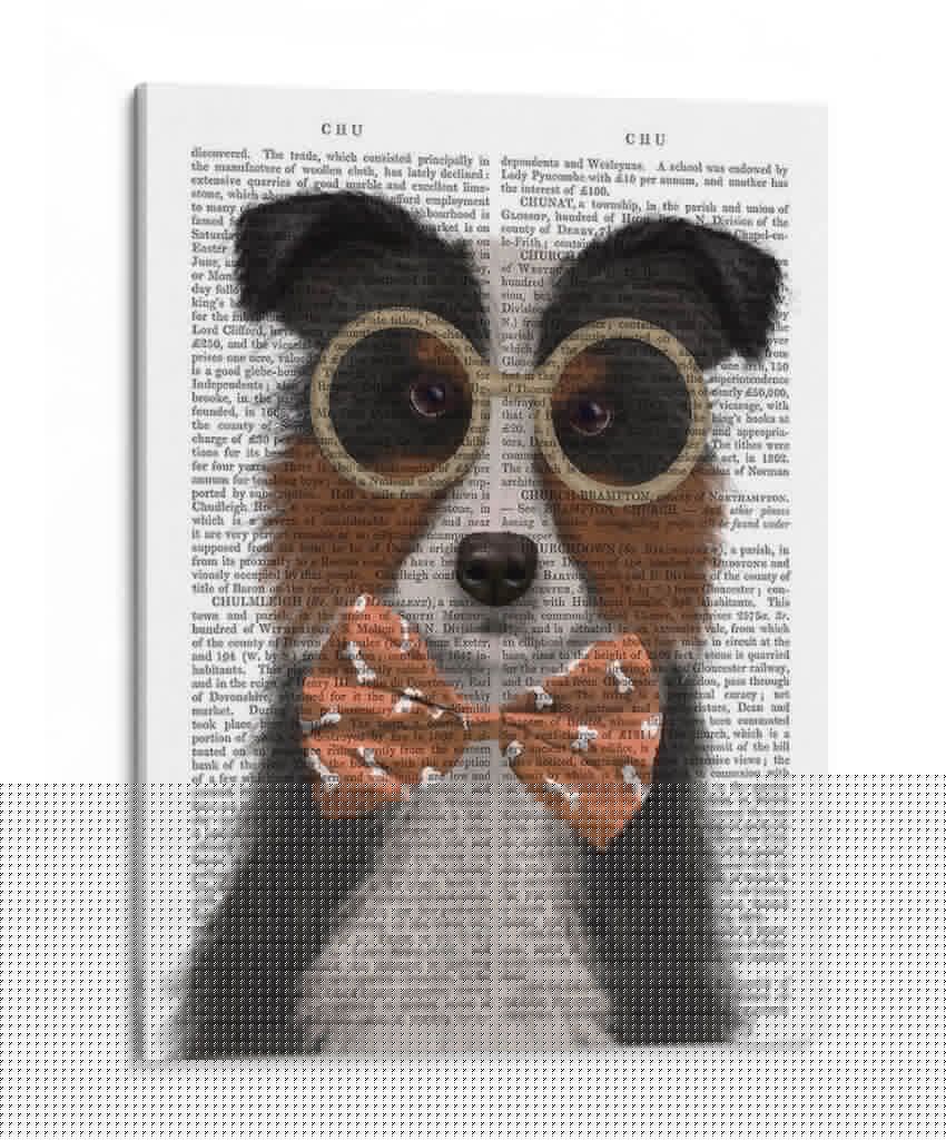 Border Collie, Tricolor, Con Gafas Y Pajarita. - Fab Funky | Cuadro decorativo de Canvas Lab