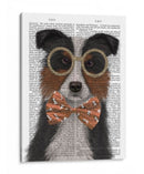 Border Collie, Tricolor, Con Gafas Y Pajarita. - Fab Funky | Cuadro decorativo de Canvas Lab