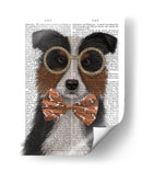Border Collie, Tricolor, Con Gafas Y Pajarita. - Fab Funky | Cuadro decorativo de Canvas Lab
