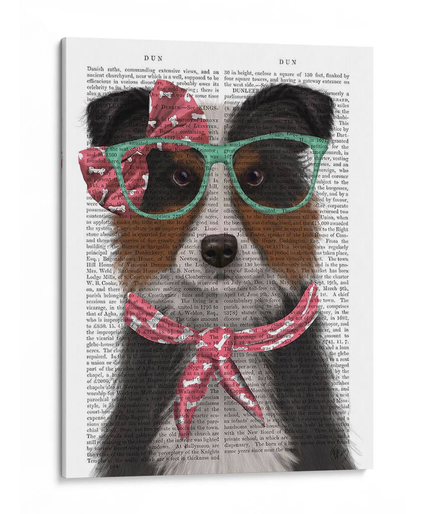 Border Collie, Tricolor, Con Gafas Y Bufanda. - Fab Funky | Cuadro decorativo de Canvas Lab