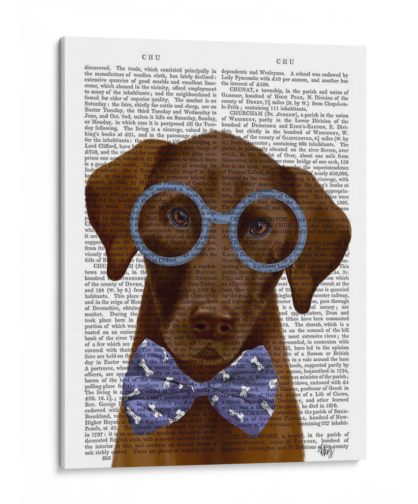 Labrador De Chocolate Con Gafas Y Pajarita. - Fab Funky | Cuadro decorativo de Canvas Lab