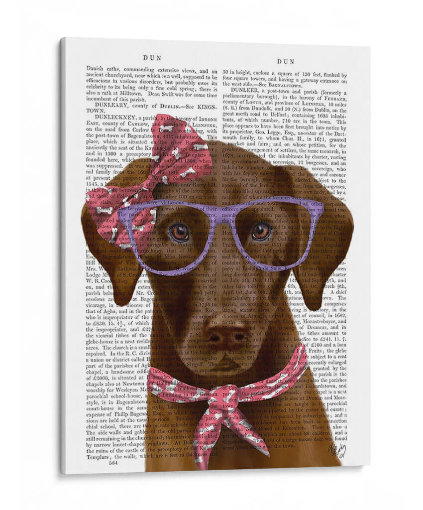 Labrador De Chocolate Con Gafas Y Bufanda. - Fab Funky | Cuadro decorativo de Canvas Lab