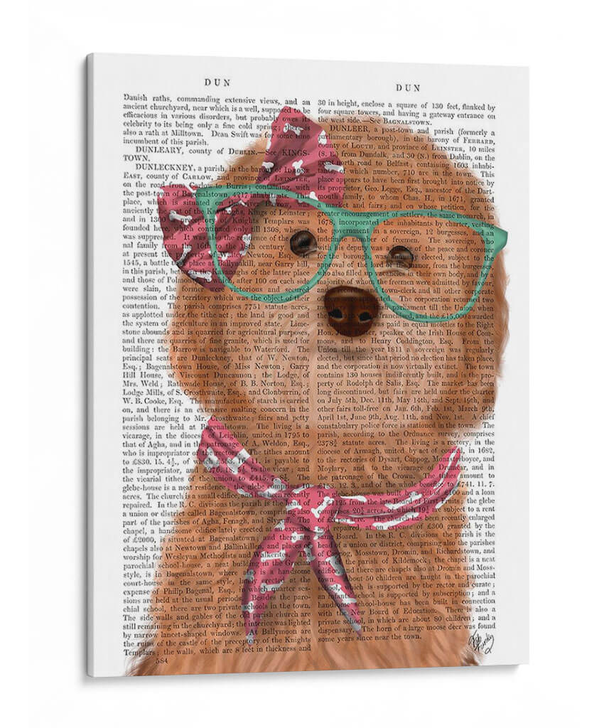 Cockerpoo, Albaricoque, Con Gafas Y Bufanda. - Fab Funky | Cuadro decorativo de Canvas Lab