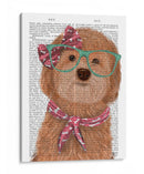 Cockerpoo, Albaricoque, Con Gafas Y Bufanda. - Fab Funky | Cuadro decorativo de Canvas Lab