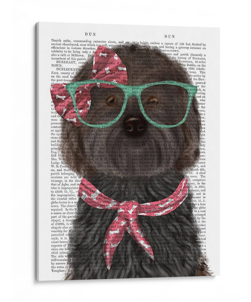 Cockerpoo, Negro, Con Gafas Y Bufanda. - Fab Funky | Cuadro decorativo de Canvas Lab