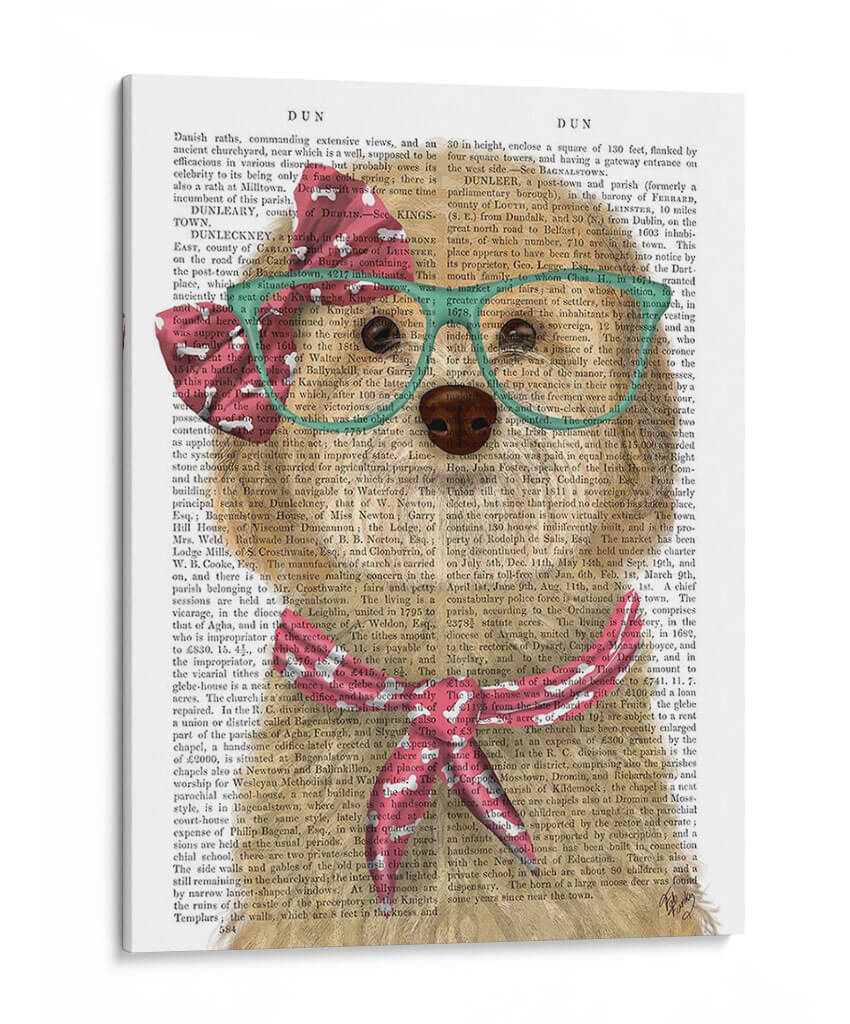 Cockerpoo, Rubia, Con Gafas Y Bufanda. - Fab Funky | Cuadro decorativo de Canvas Lab