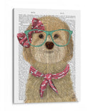 Cockerpoo, Rubia, Con Gafas Y Bufanda. - Fab Funky | Cuadro decorativo de Canvas Lab