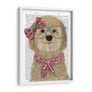 Cockerpoo, Rubia, Con Gafas Y Bufanda. - Fab Funky | Cuadro decorativo de Canvas Lab
