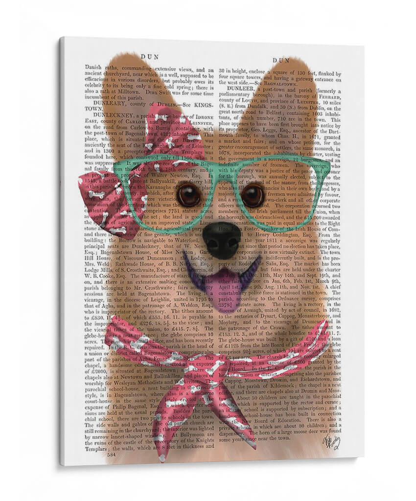 Corgi Con Gafas Y Bufanda. - Fab Funky | Cuadro decorativo de Canvas Lab
