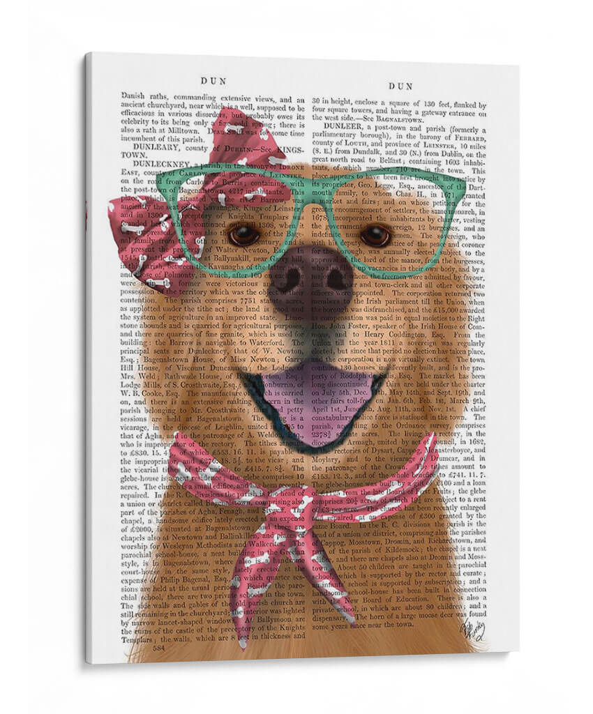 Golden Retriever, Gafas Y Bufanda - Fab Funky | Cuadro decorativo de Canvas Lab