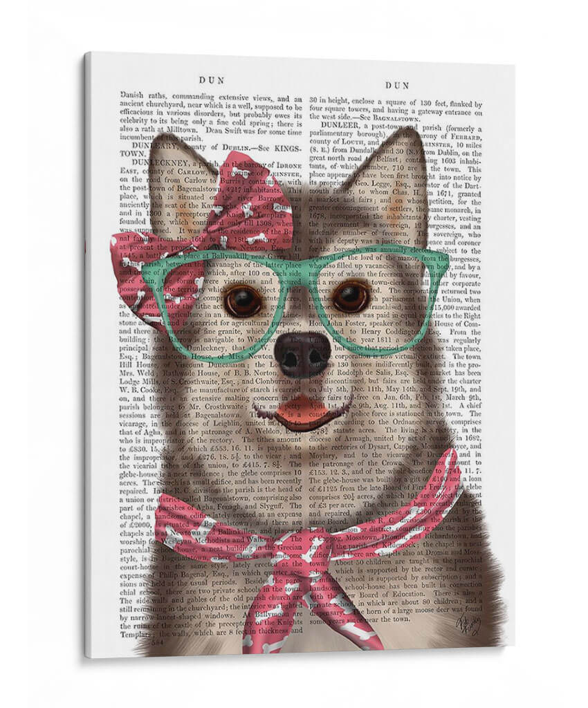 Husky Con Gafas Y Bufanda - Fab Funky | Cuadro decorativo de Canvas Lab