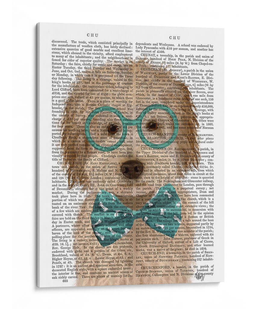 Labradoodle, Crema, Con Gafas Y Pajarita - Fab Funky | Cuadro decorativo de Canvas Lab