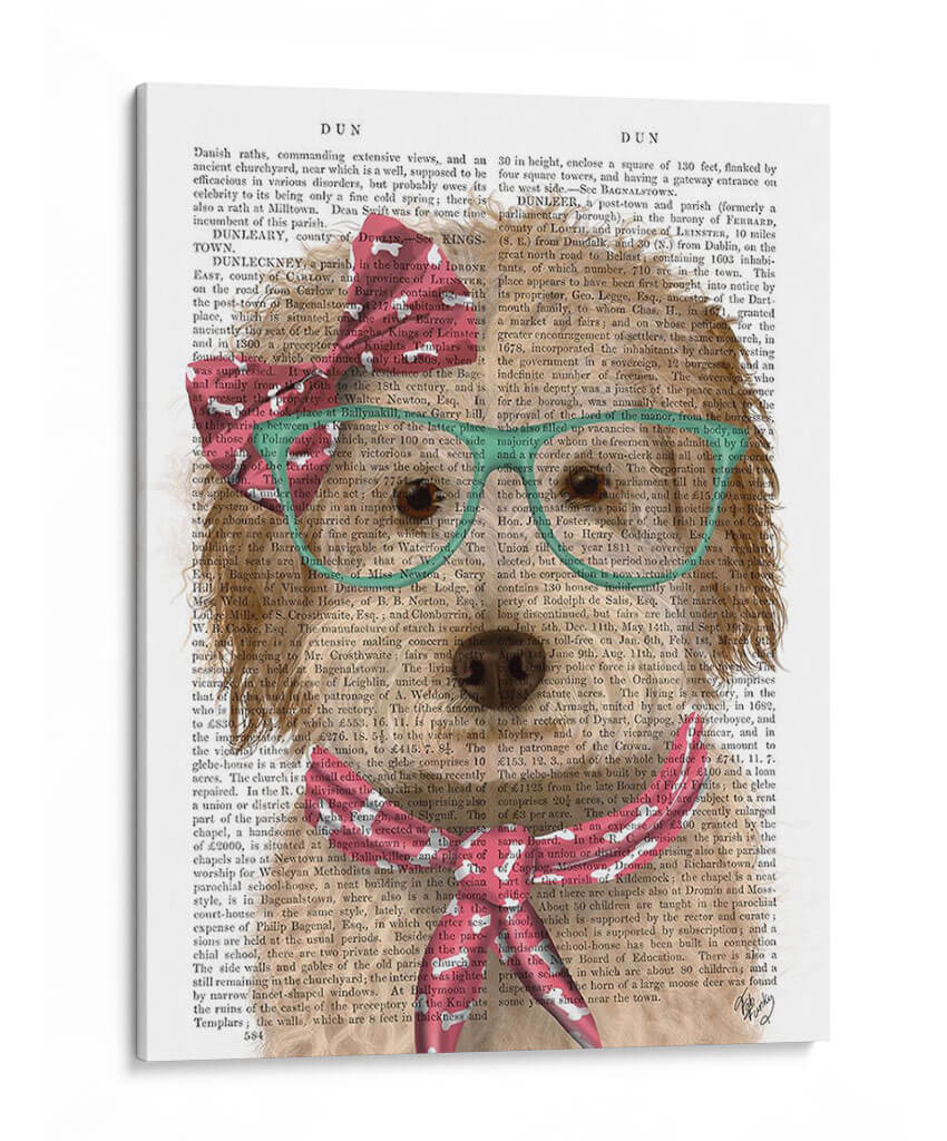 Labradoodle, Crema, Con Gafas Y Bufanda. - Fab Funky | Cuadro decorativo de Canvas Lab