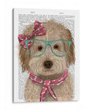 Labradoodle, Crema, Con Gafas Y Bufanda. - Fab Funky | Cuadro decorativo de Canvas Lab