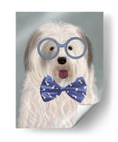 Viejo Perro Pastor Inglés Con Gafas Y Pajarita - Fab Funky | Cuadro decorativo de Canvas Lab