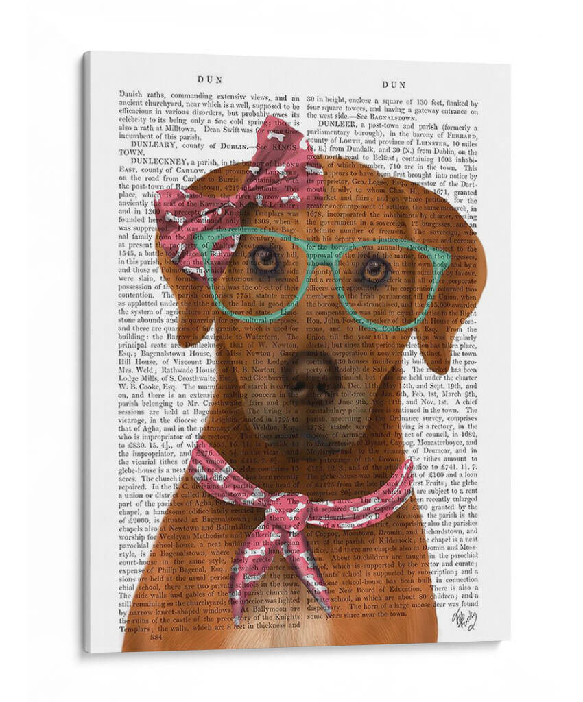 Rhodesian Ridgeback Con Gafas Y Bufanda. - Fab Funky | Cuadro decorativo de Canvas Lab