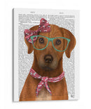 Rhodesian Ridgeback Con Gafas Y Bufanda. - Fab Funky | Cuadro decorativo de Canvas Lab