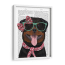 Rottweiler Con Gafas Y Bufanda. - Fab Funky | Cuadro decorativo de Canvas Lab
