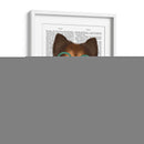 Sheepdog Shetland Con Gafas Y Pajarita - Fab Funky | Cuadro decorativo de Canvas Lab