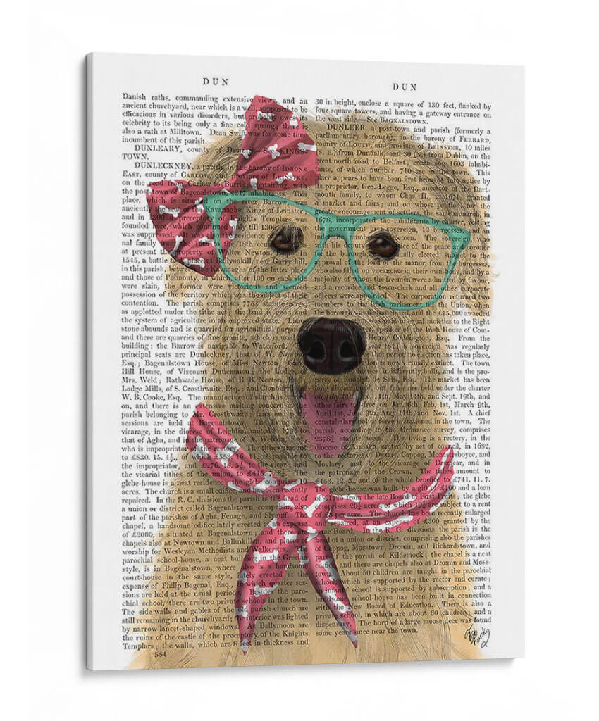 Wheaten Terrier Con Gafas Y Bufanda. - Fab Funky | Cuadro decorativo de Canvas Lab