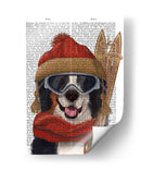 Perro De Esquí Berneo - Fab Funky | Cuadro decorativo de Canvas Lab