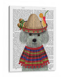 Bichon Frise En Traje Mexicano - Fab Funky | Cuadro decorativo de Canvas Lab