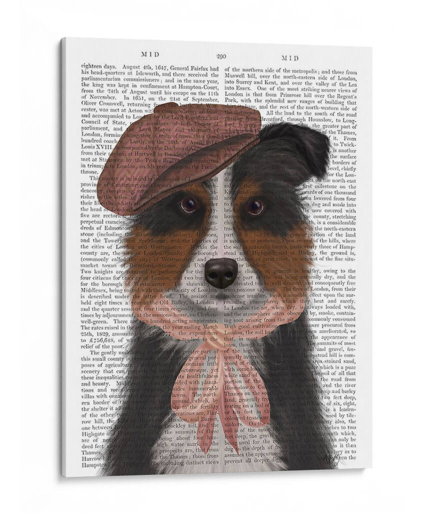 Borde Collie Hat Y Pink Bufanda - Fab Funky | Cuadro decorativo de Canvas Lab