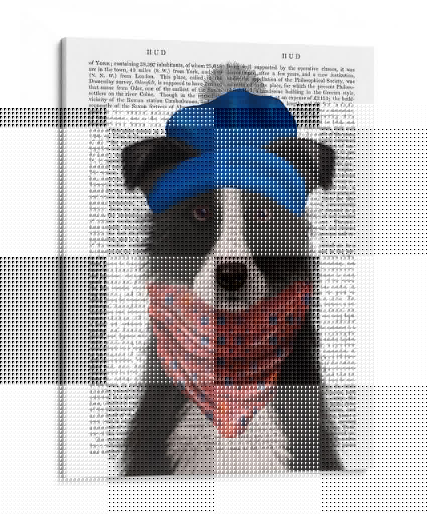 Border Collie En Blue Bobble Hat - Fab Funky | Cuadro decorativo de Canvas Lab